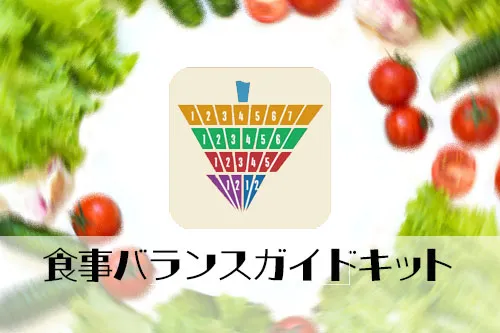 栄養マイスターのオプション　食事バランスガイドキット